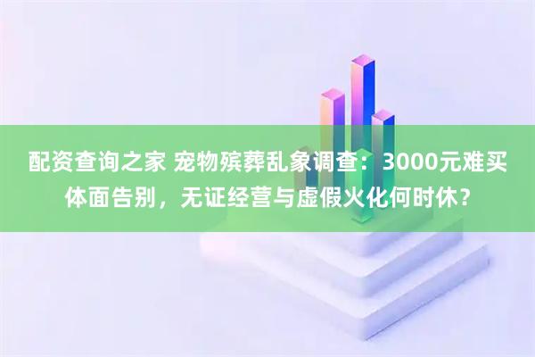 配资查询之家 宠物殡葬乱象调查:3000元难买体面告别,无证经营与虚假火化何时休?